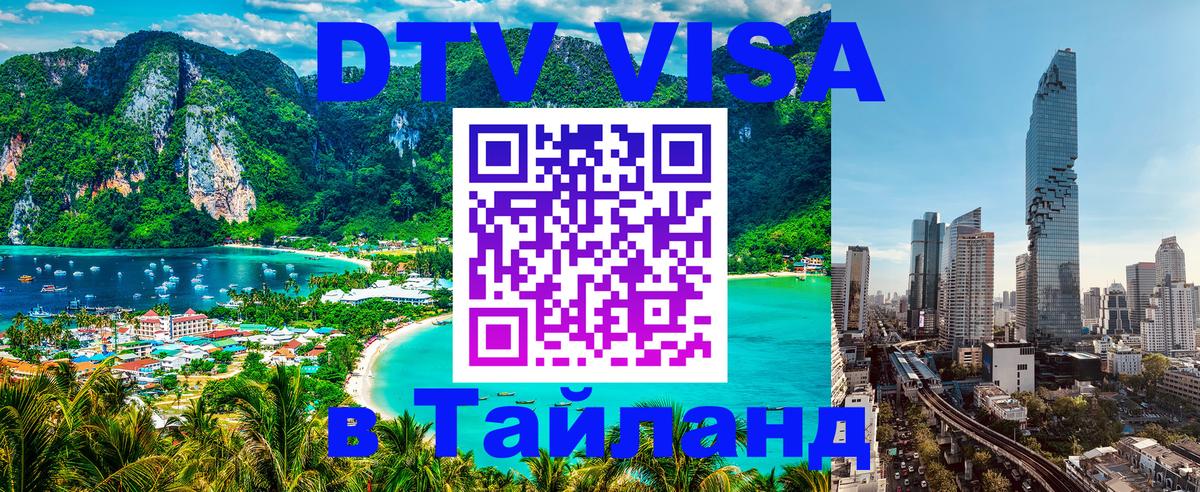 Оформление DTV визы под ключ: стоимость и тарифы, только загранпаспорт - 08.01.2026 